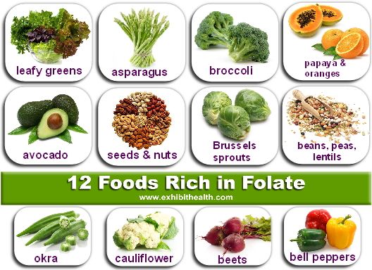 Folic Acid Containing Diet